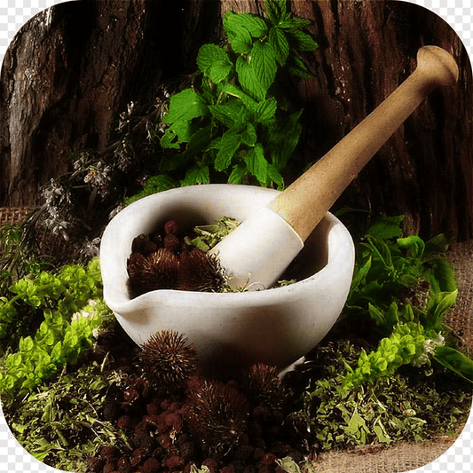 Herbal Combinations: The Secret to Unlocking Nature’s Healing Power